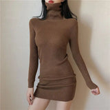 Mini Sexy Daring Turtleneck Crochet Dress