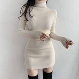 Mini Sexy Daring Turtleneck Crochet Dress