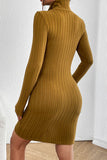 Turtleneck Long Sleeve Mini Dress